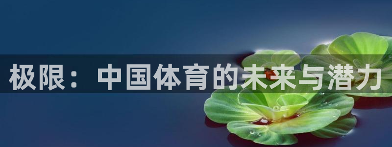 看球体育足球直播：极限：中国体育的未来与潜力