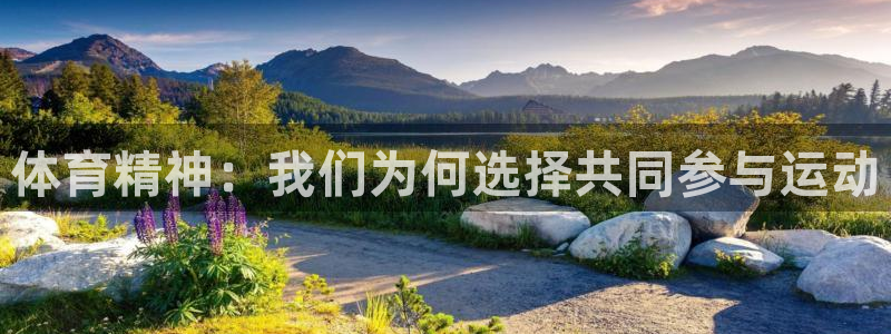 看球体育吧