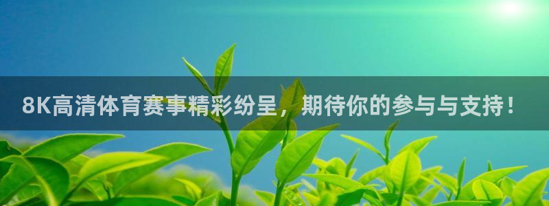 看球体育app手机版免费