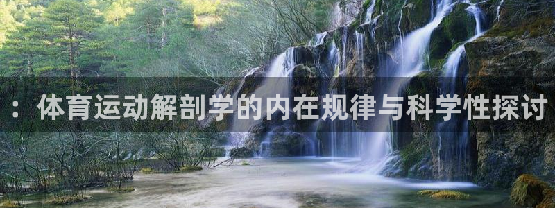 看球体育