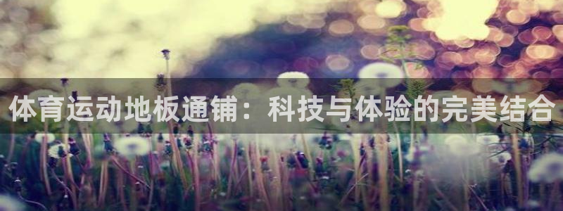 看球体育安卓版下载